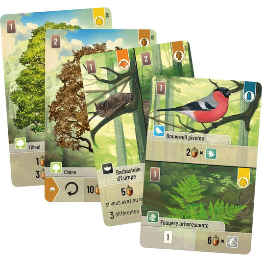 Forêt mixte vf